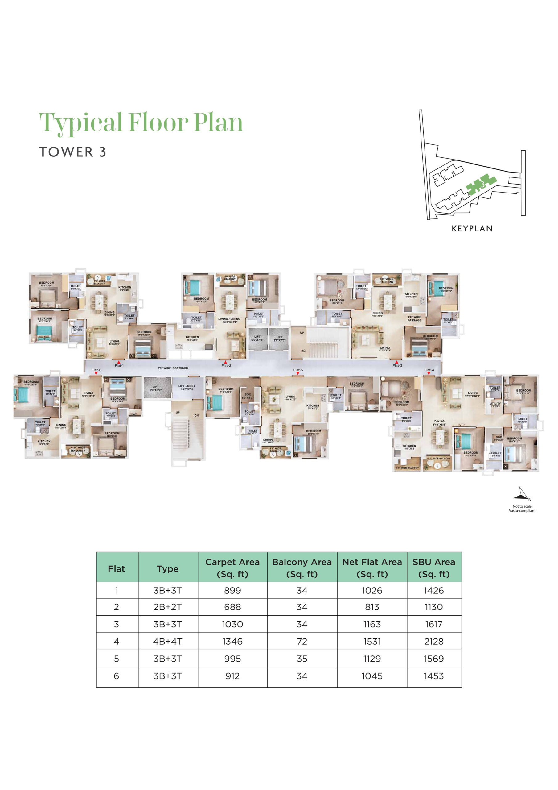 Parasio_Brochure_24